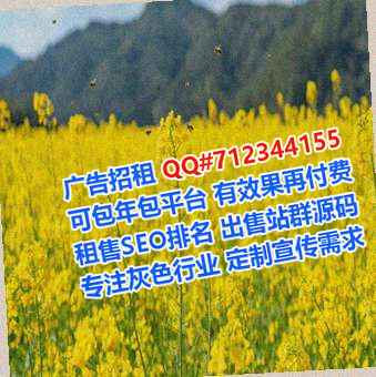 南海生子信息有限公司